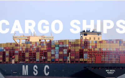 Breaking Down the Numbers and Types of Cargo Ships